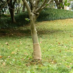 Rulou de iuta, 0,25x15 m, iuta 100%, 200 g/m² GartenMobel Dekor