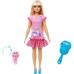 Papusa Barbie - Malibu cu accesorii