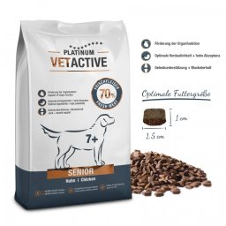Platinum Natural Vetactive Senior