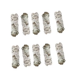 Buchet de Salvie Alba din California - 11-12 cm - 1 Buc
