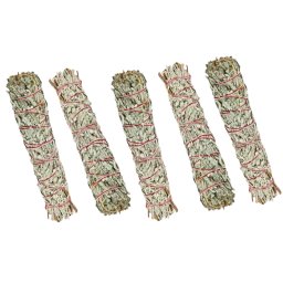 Salvie Albastra din Mexic - 23-24 cm - 1Buc - 2Buc sau 4Buc