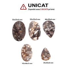 Pandantiv Fosil Lemn Oval - Picatura cu Gaura - 31-53 x 22-46 x 5-6 mm - 1 Buc