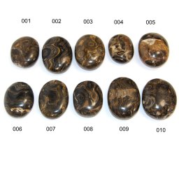 Palm Stone Fosil Stromatolit Druzy din Peru Mineral Natural 54-62 x 42-46 x 17-27 mm (XXL) - 1 Buc