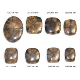 Andaluzit Natural Cabochon cu Gaura Forme Mixte (Oval si Patrat) 22-42x17-31x5-6 mm – 1 Buc
