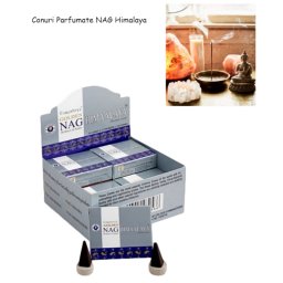 Conuri Parfumate Vijayshree Golden - Nag Himalaya 15 g