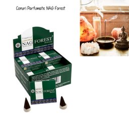 Conuri Parfumate Vijayshree Golden - Nag Forest 15g