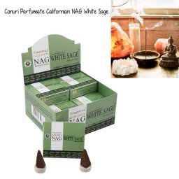 Conuri Parfumate Salvie Alba Vijayshree Golden - Nag White Sage 15 g