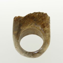 Inele Fosil Coral Dreptunghi - Diametru Gaura 64 mm