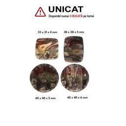 Pandantiv Fosil Lemn Disc - Dreptunghi cu Gaura - 33-40 x 28-40 x 4-6 mm - ( XL ) - 1 Buc