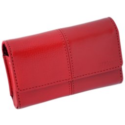 Cs-s23 case for s100, s80 (red)
