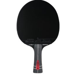 Paleta Joola Infinity Z Carbon