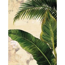 Set pictura pe numere, cu sasiu, Frunze tropicale, 30x40 cm