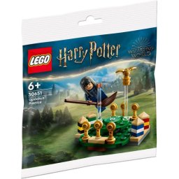 LEGO Harry Potter 30651 - Quidditch Practice
