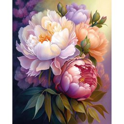 Set pictura pe numere, cu sasiu, Bujori in floare, 40x50 cm