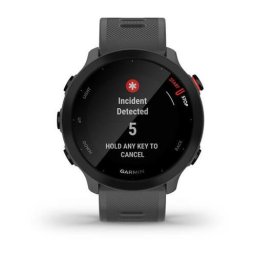 Smartwatch Forerunner 55 Monterra Grey