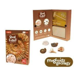 Kit paleontologie - Descopera fosile