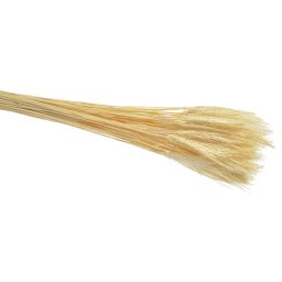 Buchet spice color pentru aranjamente florale
