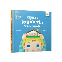 Ce este ingineria structurala