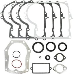 Set garnituri motor Briggs & Stratton 25, 28xxxx 494241 ca 490525 cu 091309MA 270796 270853 270915 270916 270917 271075 271702S 271866S 272293 272554S 27803S 281370S 291675S 391086S 491323 68838 692236 692407 805259 84004021