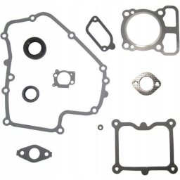 Set garnituri motor Briggs & Stratton 700E 750EX 775iS series 793623 cu 299819S 399781S 691894 692555 793437 793439 793445 793455 793497 793507 etc