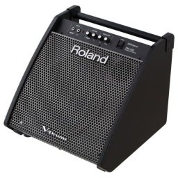 Roland PM 200
