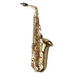 Yanagisawa A WO1