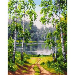 Set pictura pe numere, cu sasiu, Drum spre lac, 40x50 cm