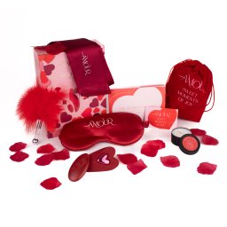 Dream Toys Amour The Secrets of Love Panty Play Kit