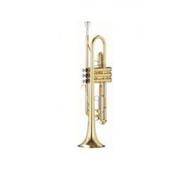 Parrot 6416 L