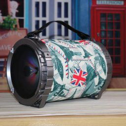 Boxa portabila Platinet OG73P portable speaker