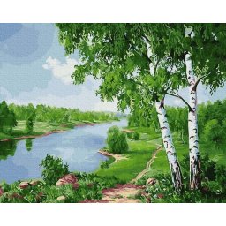 Set pictura pe numere, cu sasiu, Mesteceni langa rau, 40x50 cm