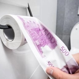 Hartie Igienica 500 Euro