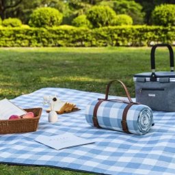 Patura de picnic cu maner din piele ecologica