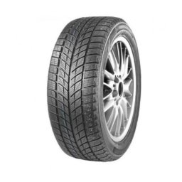 DOUBLESTAR Winterking DW09 235/55R20 102H