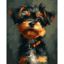 Set pictura pe numere, cu sasiu, Yorkshire Terrier, 40x50 cm
