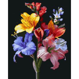 Set pictura pe numere, cu sasiu, Crini colorati - canvas negru, 40x50 cm