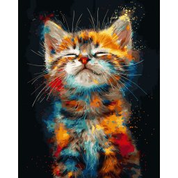 Set pictura pe numere, cu sasiu, Pisicel - canvas negru, 40x50 cm