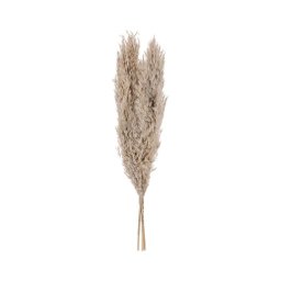 Floare uscată Eglo 428083 GUIPOS 55 cm bej