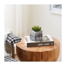 Plantă artificială în ghiveci Eglo 428007 CHITOSE 12x7,5 cm suculentă