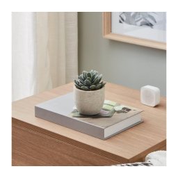 Plantă artificială în ghiveci Eglo 428011 CHITOSE 11x8 cm suculentă