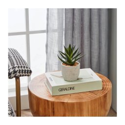 Plantă artificială în ghiveci Eglo 428012 CHITOSE 15,5x10 cm suculentă