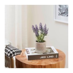 Plantă artificială în ghiveci Eglo 428031 CHITOSE 22x8 cm lavandă