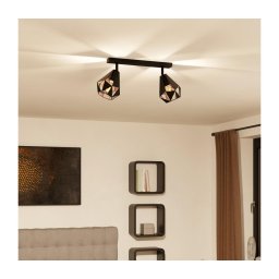 Spot Eglo 43716 CARLTON 2xE27/40W/230V