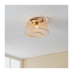 Plafonieră Eglo 43851 HYKEHAM 1xE27/40W/230V