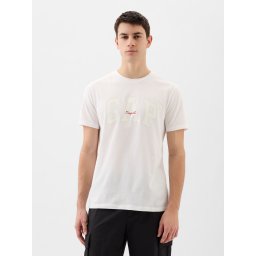 Tricou barbati, GAP
