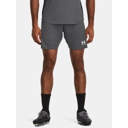 Pantaloni si pantaloni scurti pentru barbati Under Armour - gri