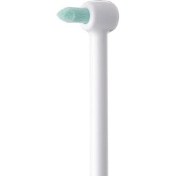 Rezerva 2 capete Orto Irigator Bucal EW0984W303 Panasonic