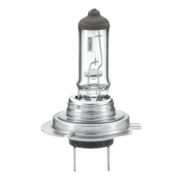 Bec H7 24V Heavy Duty