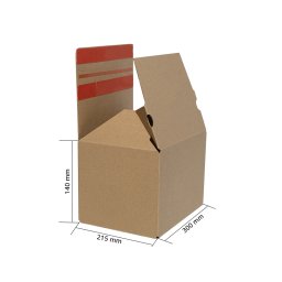Cutii de carton cu autoformare ecommerce, FitBox, productive si eficiente, fund dublu, 300x215x140
