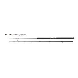 ZENAQ MUTHOS ACCURA 100H OCEAN 10 0 304cm 30-200gr Fuji Titanium Sic